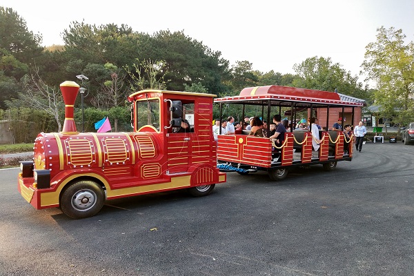 park trains for sale